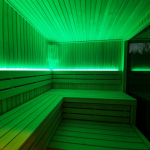 Esplora l'eleganza contemporanea: Sauna da esterno moderna con vetro panoramico